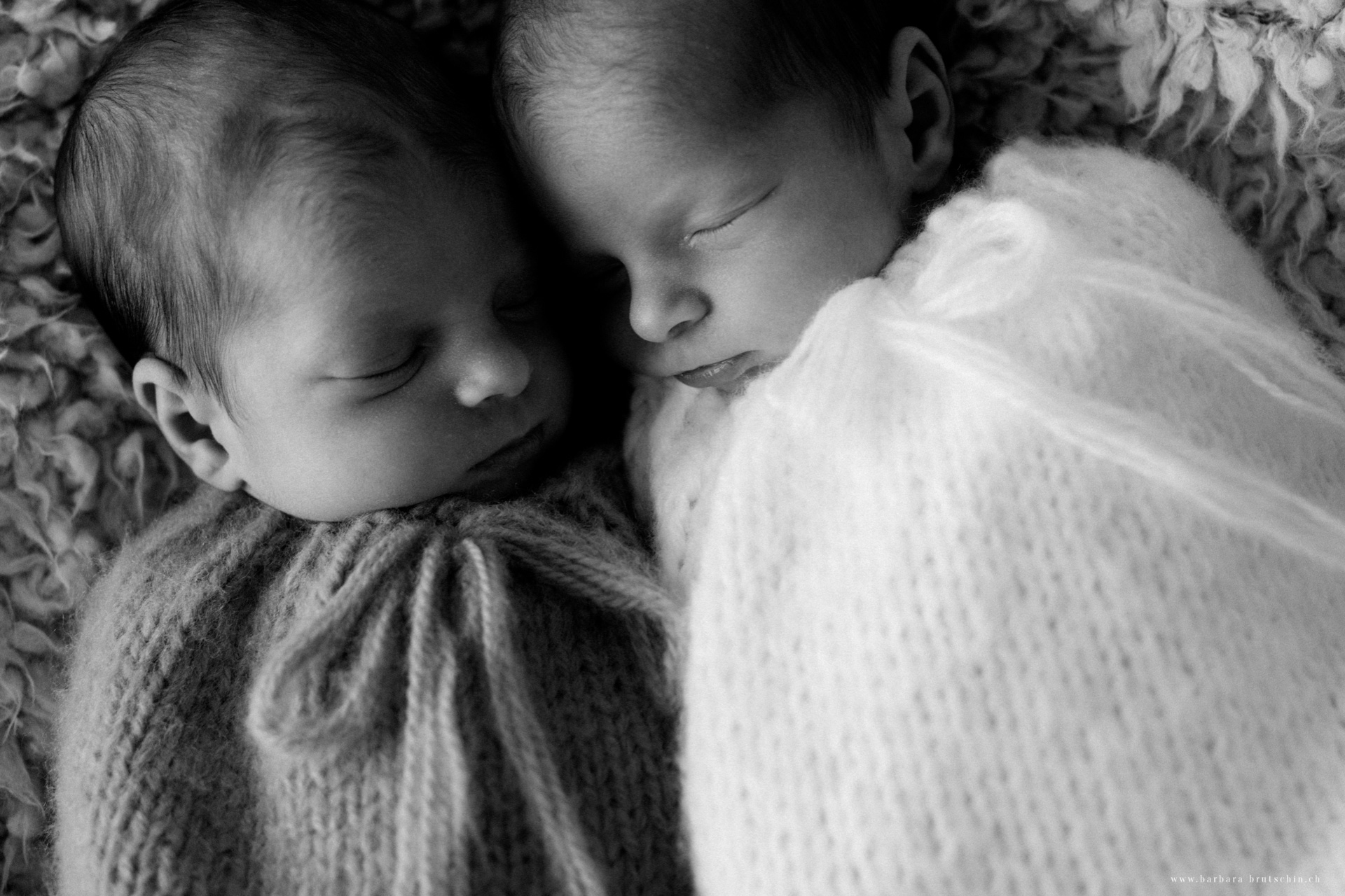 Twins Neugeborenenfotografie Sursee